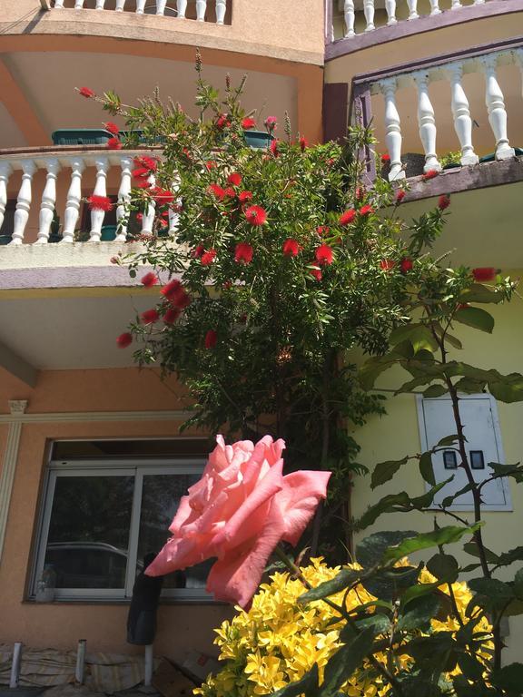 Sunny Villa Apartments Budva Exteriér fotografie