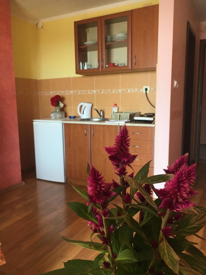 Sunny Villa Apartments Budva Exteriér fotografie